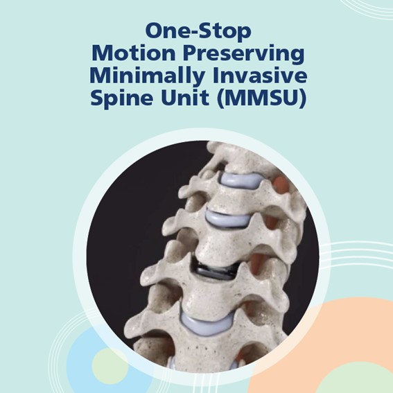 Motion Preserving Minimally Invasive Spine Unit