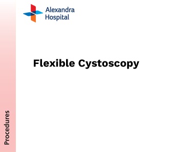 ENDO - Flexible Cystoscopy